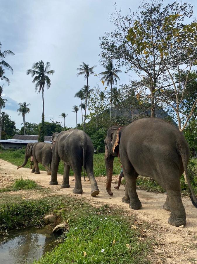 Amadha Villas Retreat - Free Tuk-Tuk Service To The Beach Ao Nang Екстер'єр фото